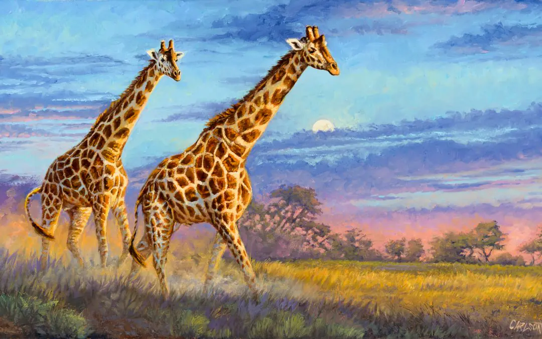 Cory Carlson Wildlife Art